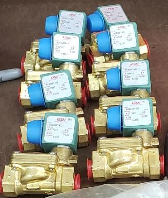 74397281_2539833042913731_8874577459278774272_n